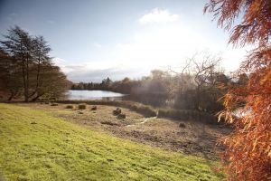 newstead abbey image 22 sm.jpg